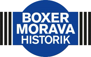 Primary Raster logo